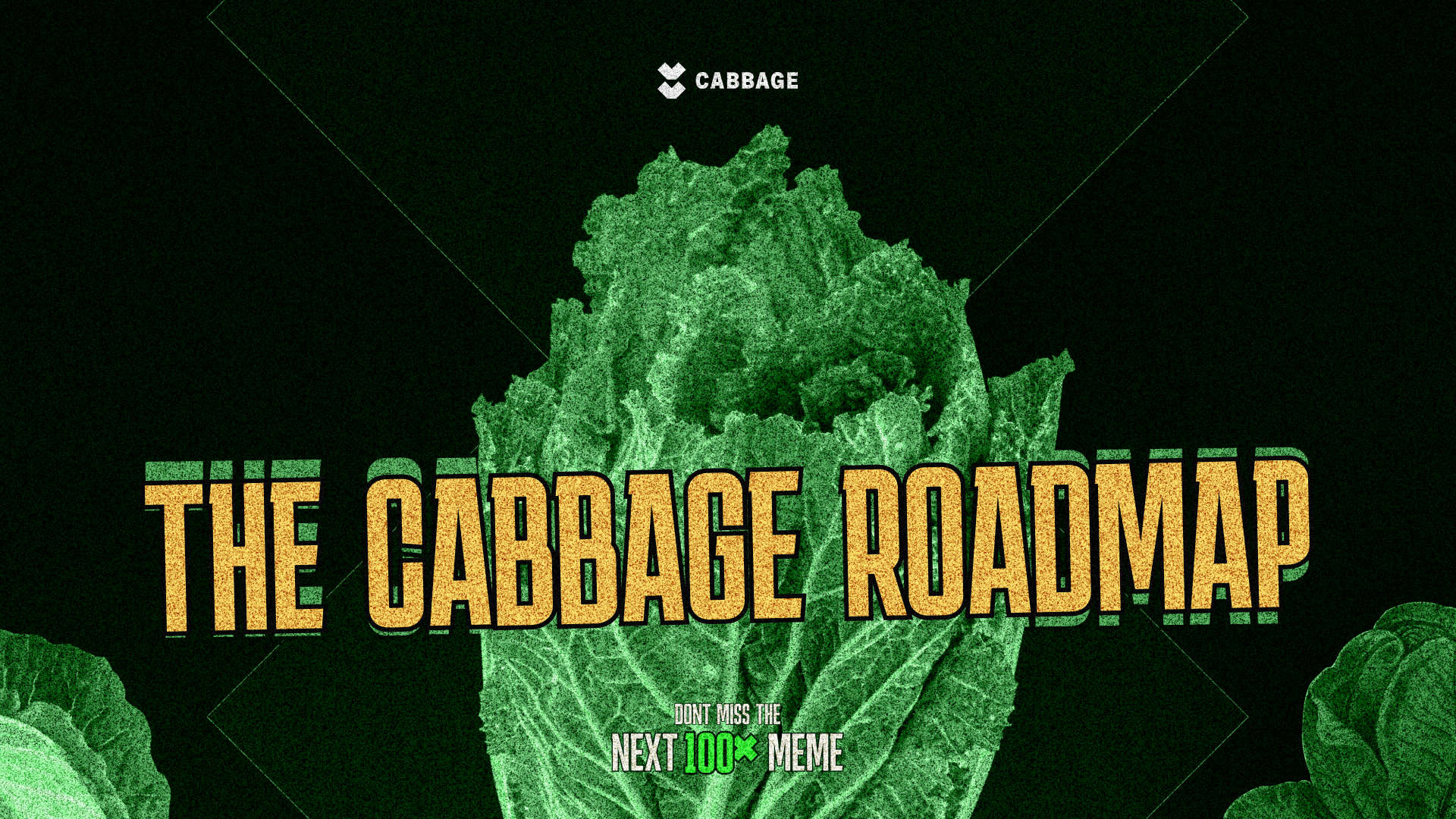 The Cabbage Roadmap: A Leaf by Leaf Recipe