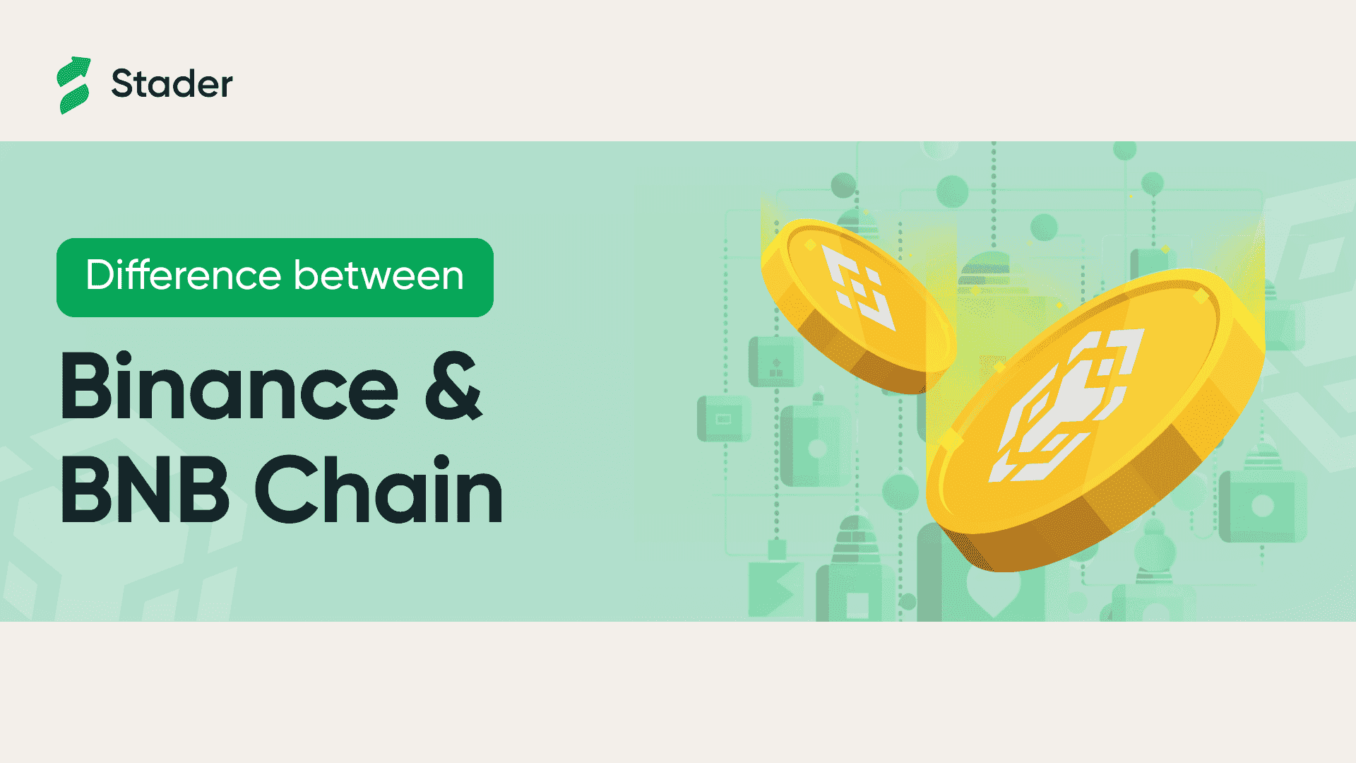 Binance vs BNB Chain