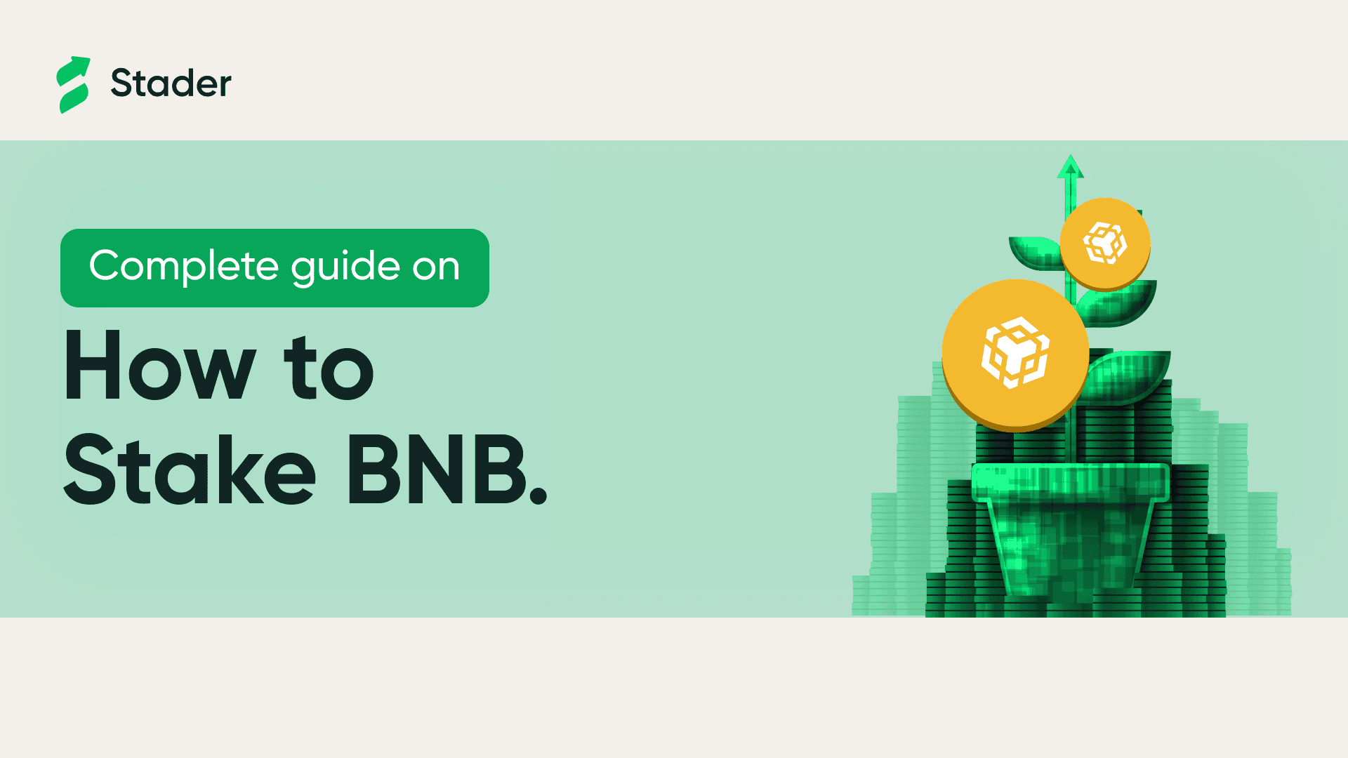How to Buy BNB?