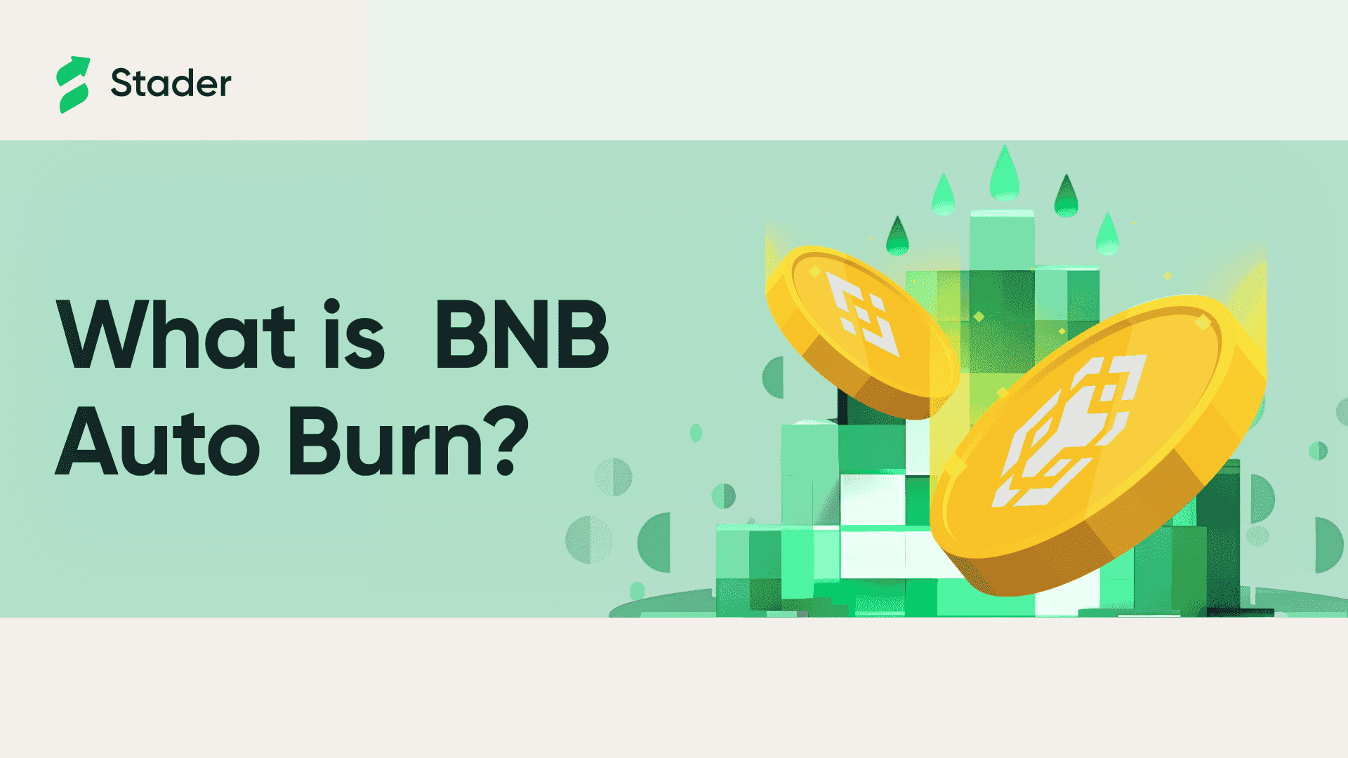 BNB Auto Burn?