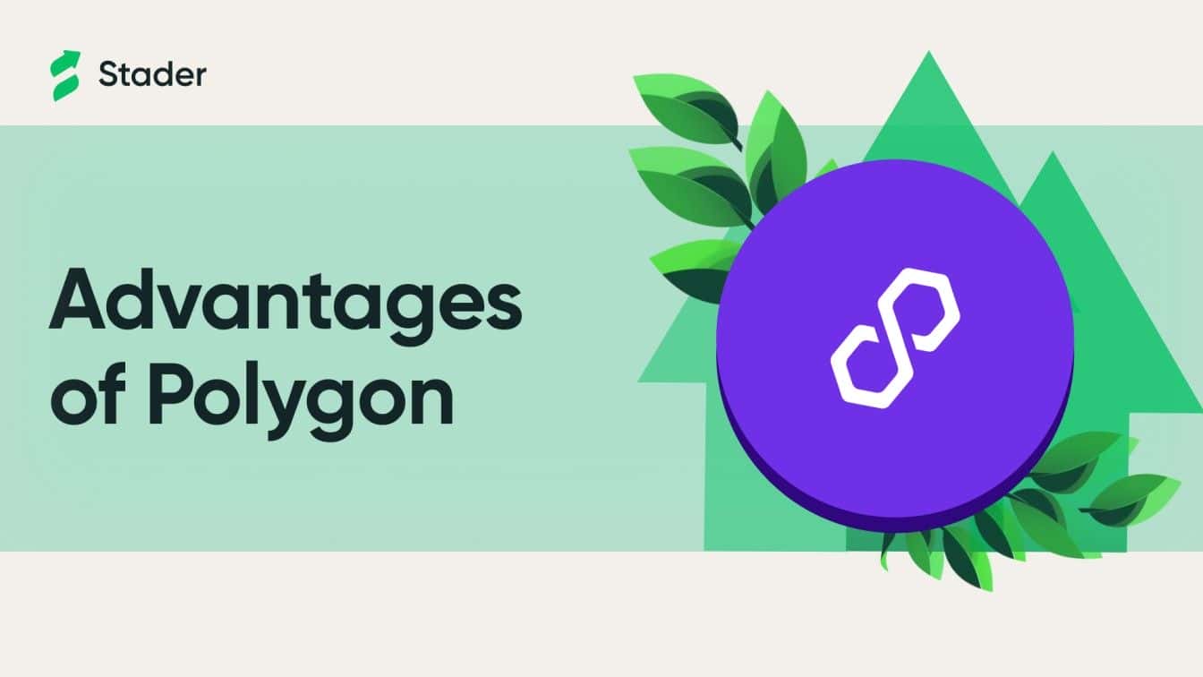 Polygon Use Cases - A Complete Guide